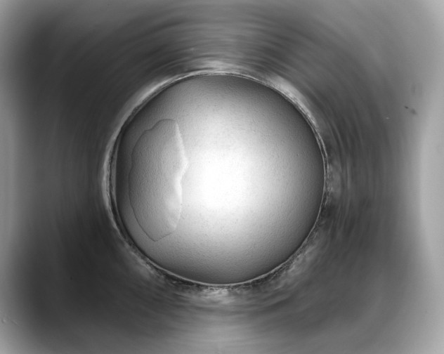 X0000088731098200705311424