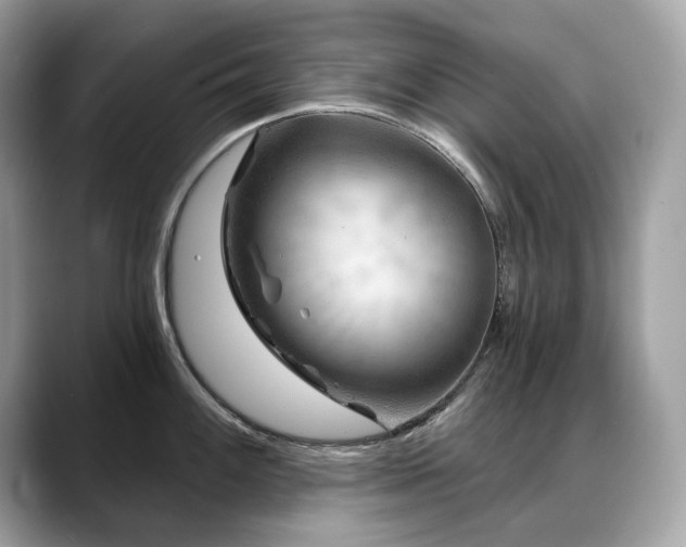 X0000088731100200705311424