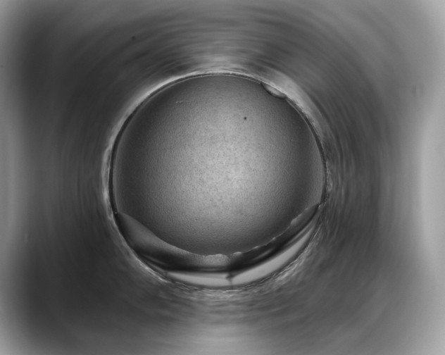 X0000088731102200705311424