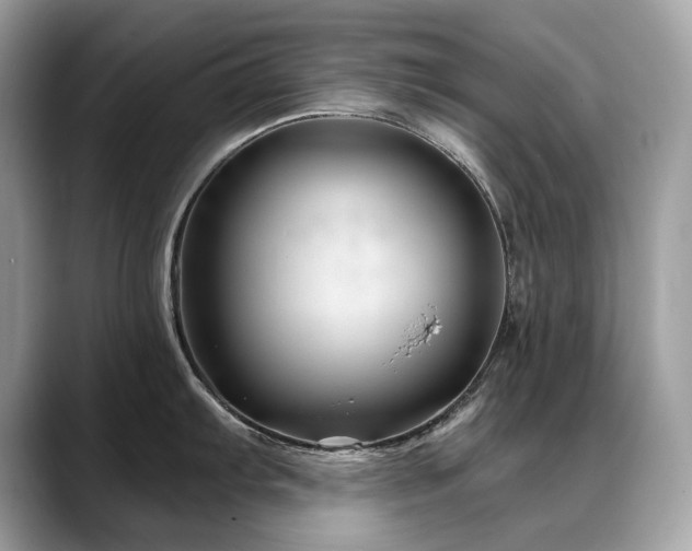 X0000088731103200705311424