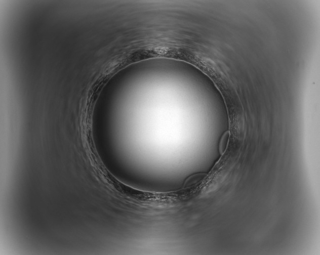 X0000088731105200705311424
