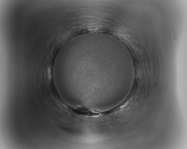 X0000088731106200705311424