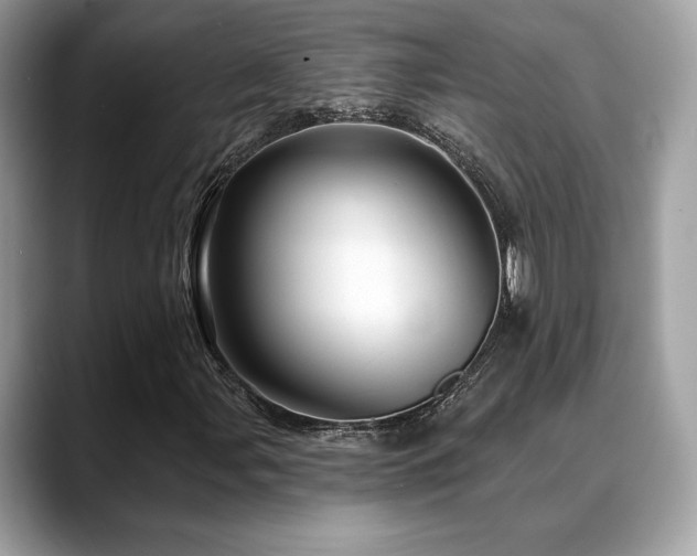 X0000088731107200705311424