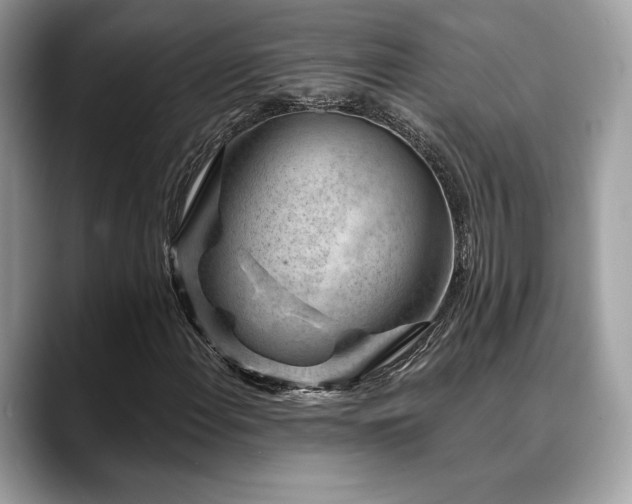 X0000088731108200705311424