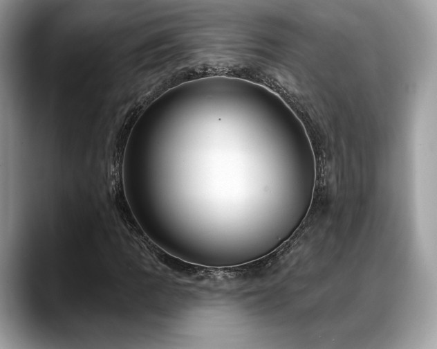 X0000088731109200705311424