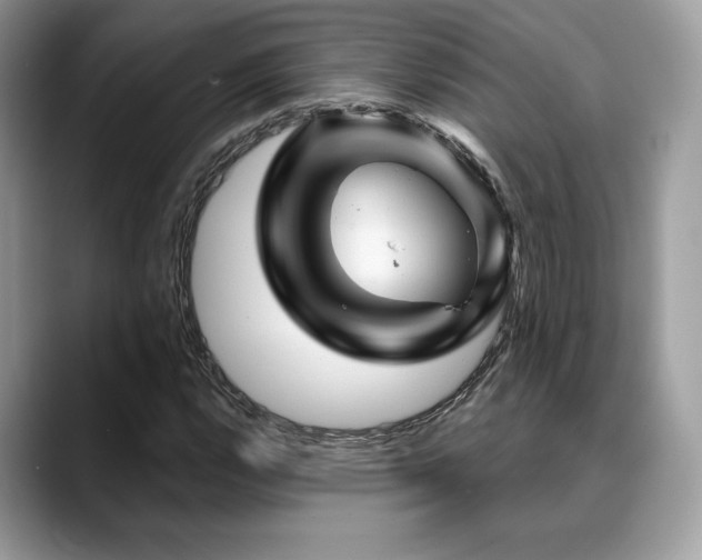 X0000088731112200705311424