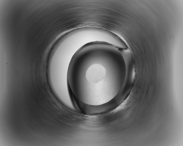 X0000088731115200705311424