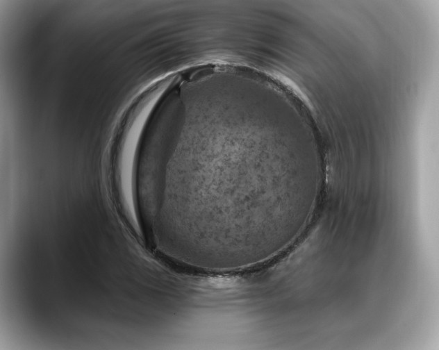X0000088731117200705311424