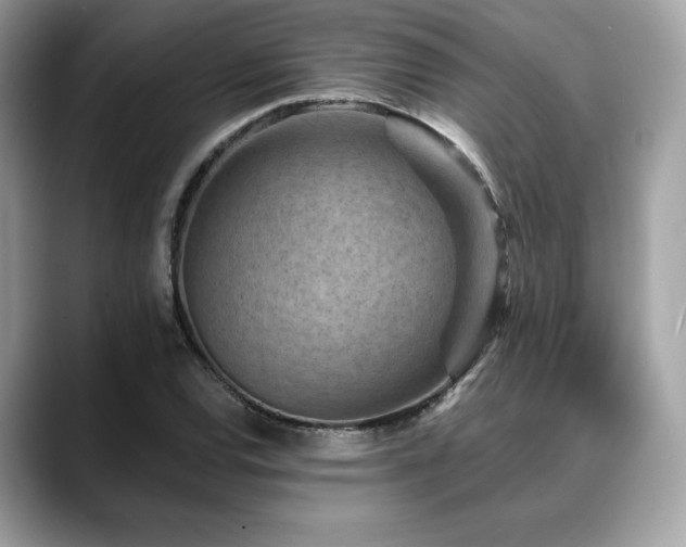 X0000088731120200705311424