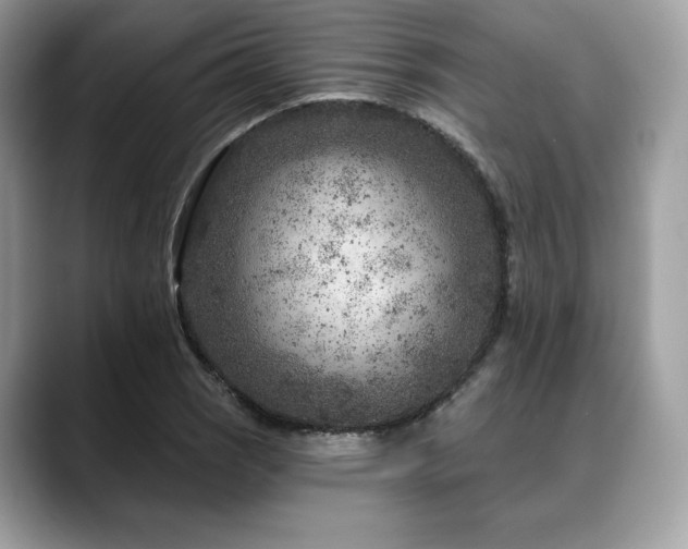 X0000088731121200705311424