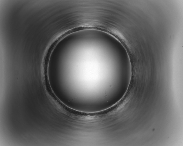 X0000088731122200705311424