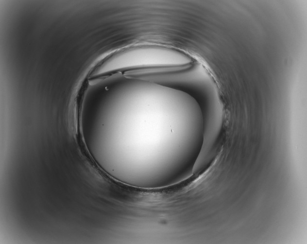 X0000088731123200705311424