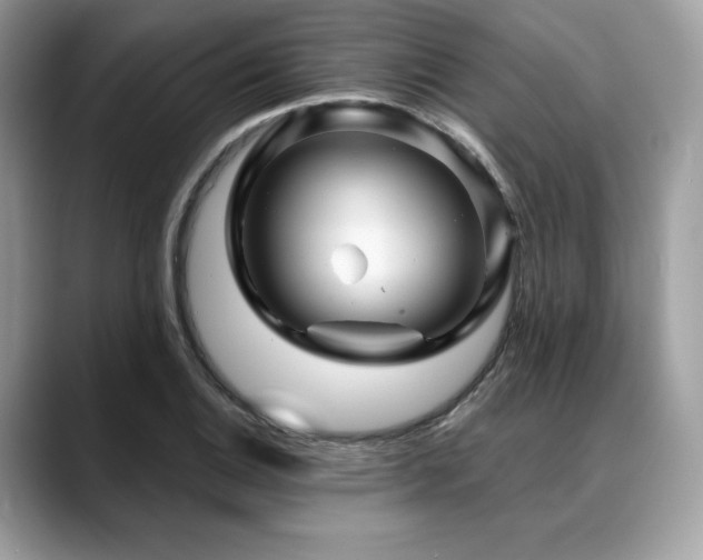 X0000088731124200705311424