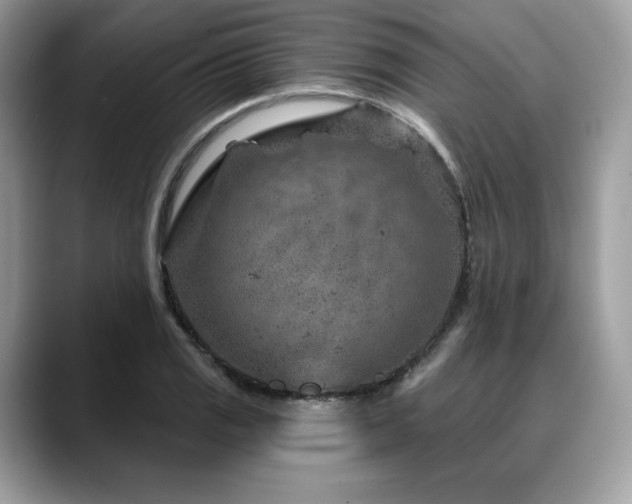 X0000088731125200705311424