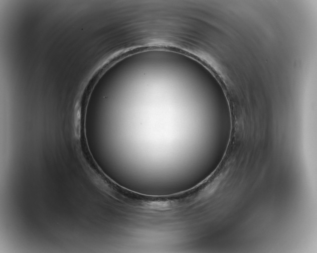 X0000088731126200705311424