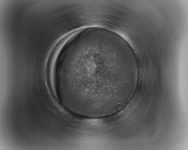 X0000088731127200705311424