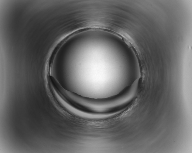 X0000088731128200705311424