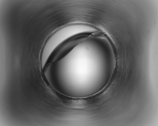 X0000088731129200705311424