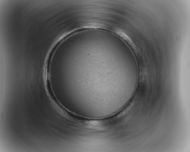 X0000088731130200705311424