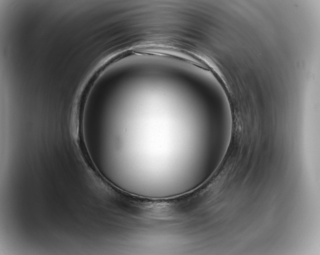 X0000088731131200705311424