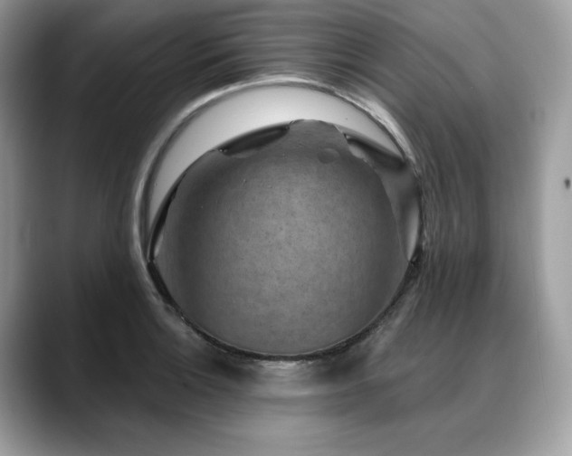 X0000088731132200705311424