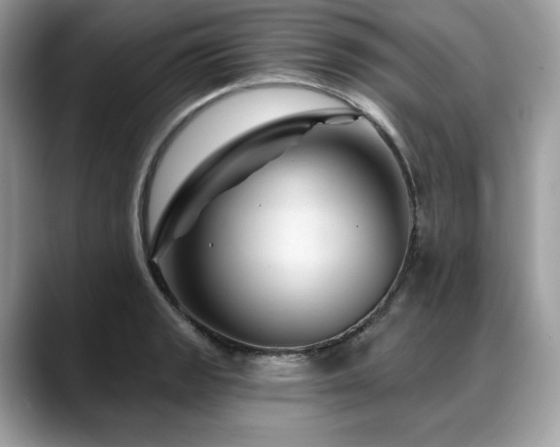 X0000088731133200705311424