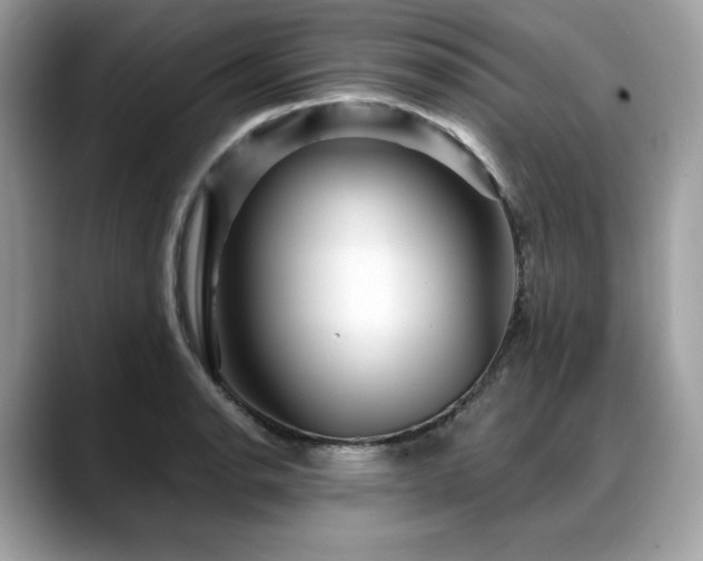 X0000088731134200705311424