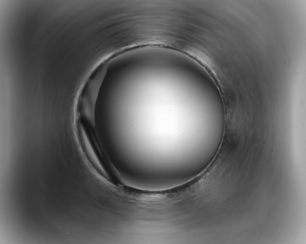 X0000088731135200705311424
