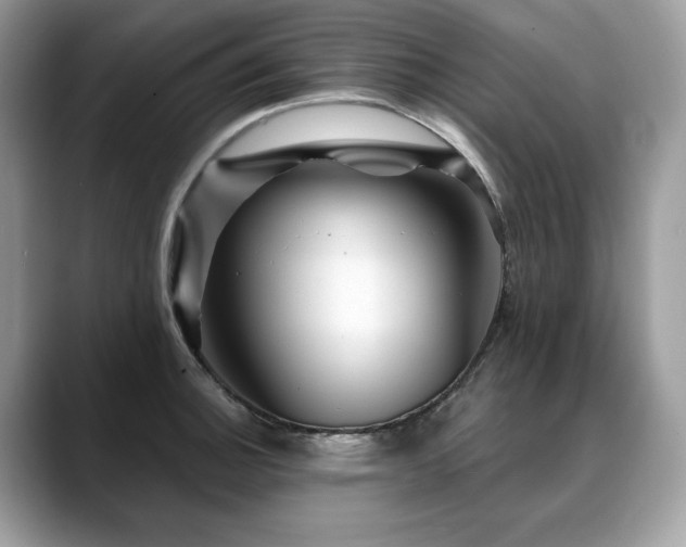 X0000088731140200705311424