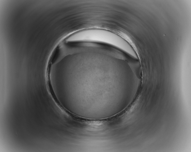 X0000088731141200705311424