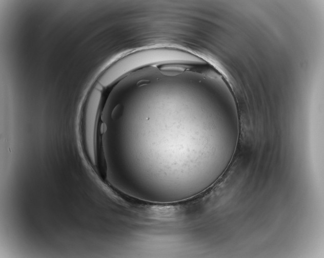 X0000088731142200705311424