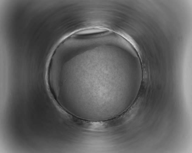 X0000088731144200705311424