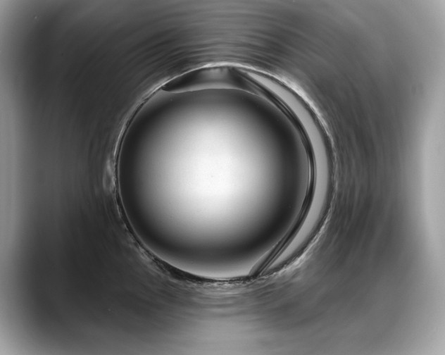 X0000088731145200705311424