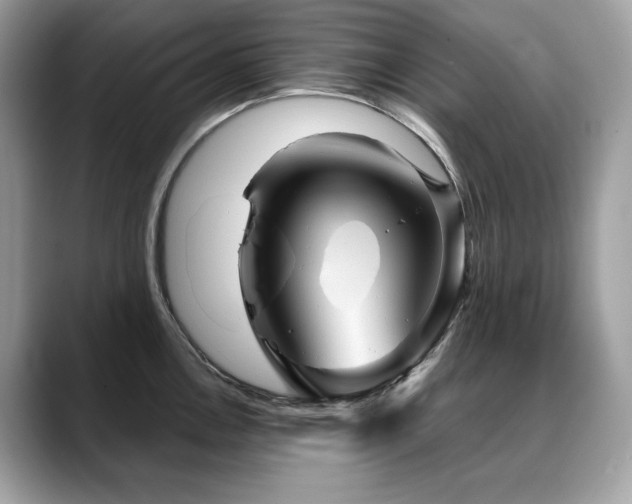 X0000088731146200705311424
