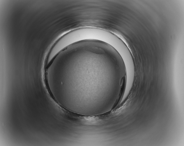 X0000088731147200705311424