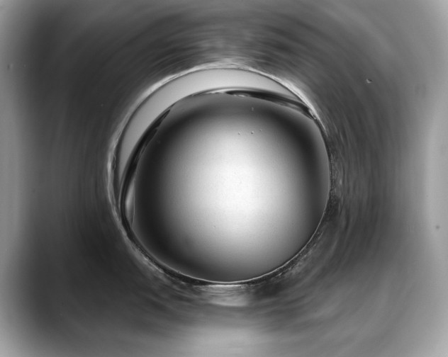 X0000088731151200705311424