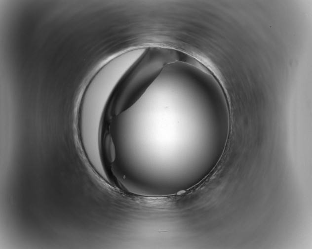X0000088731152200705311424