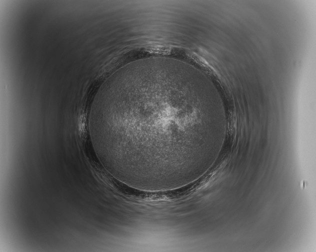 X0000088731154200705311424