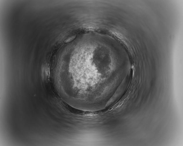 X0000088731155200705311424