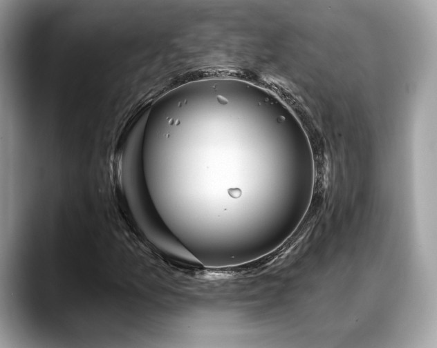 X0000088731157200705311424