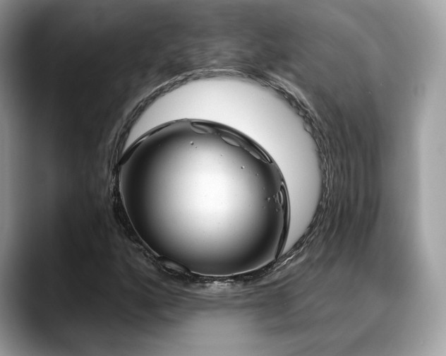 X0000088731160200705311424