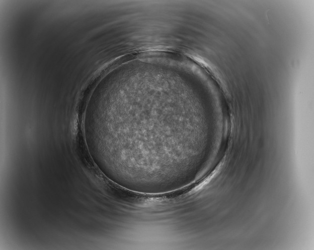 X0000088731161200705311423