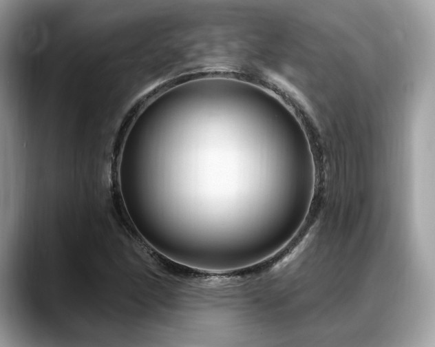 X0000088731166200705311423