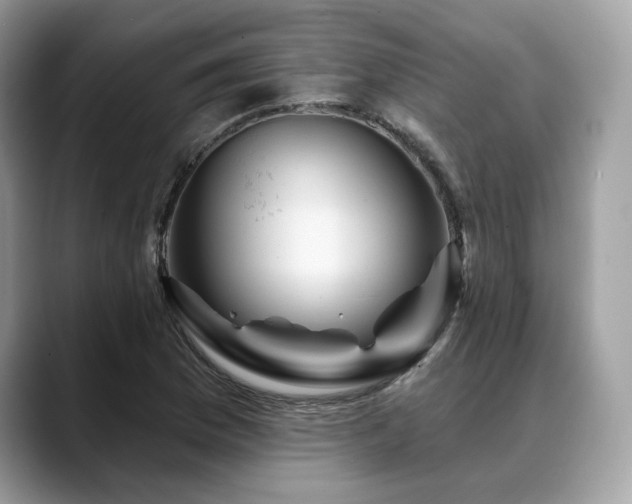 X0000088731169200705311423