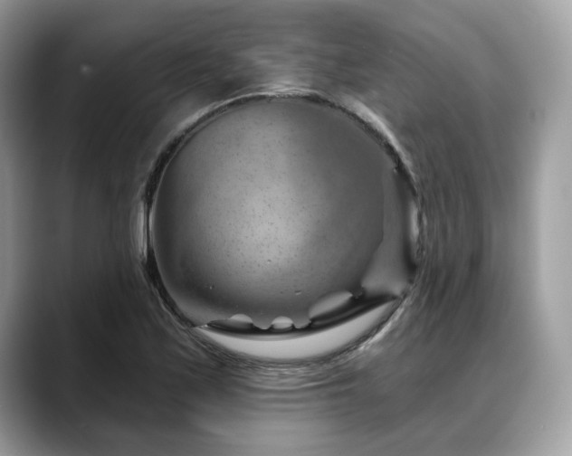 X0000088731171200705311423