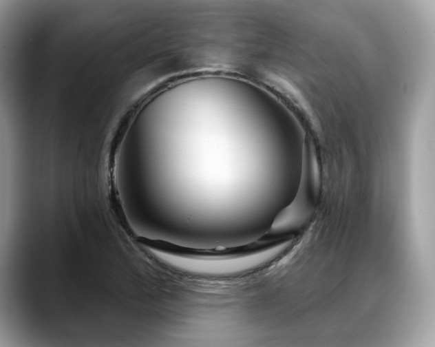 X0000088731172200705311423