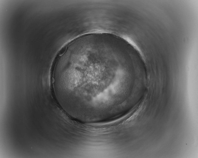 X0000088731173200705311423