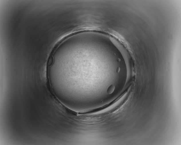 X0000088731174200705311423