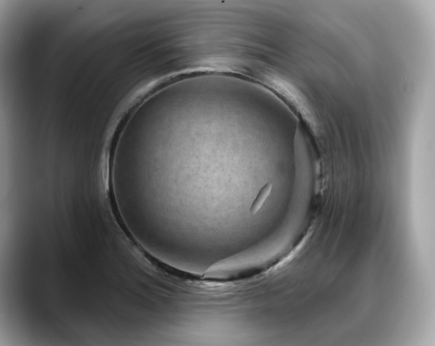 X0000088731180200705311423