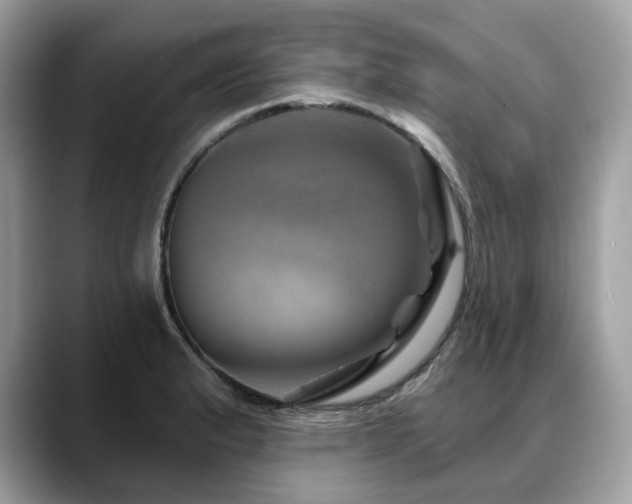 X0000088731183200705311423